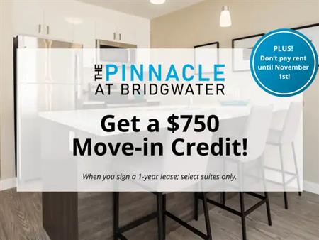 The Pinnacle at Bridgwater | 355 Bridge Lake Drive, Winnipeg