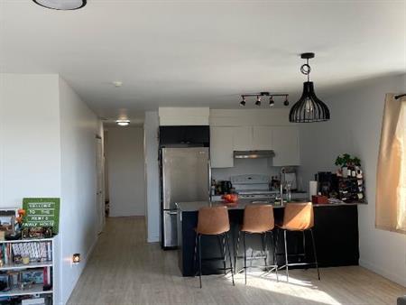 Appartement 4 1/2, animaux acceptés + prime