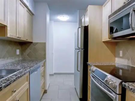 Cozy 2 bedroom Eau Claire with river view | 1211 - 738 3 Ave SW, Calgary