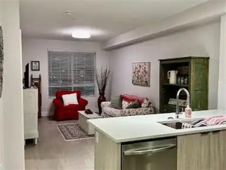 BRIGHT UNFURNISHED 1 BED & DEN - WITH FULLY EQUIPED GYM | 211 - 20061 Fraser Highway, Langley