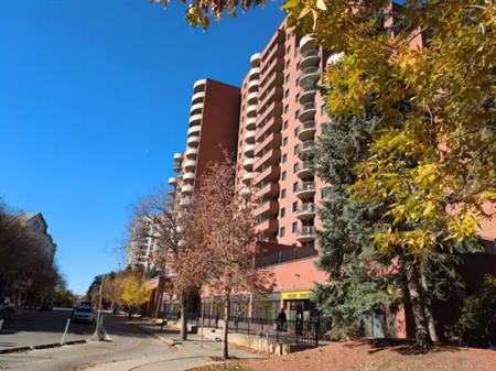 Room for Rent – Bright 3-Bedroom Condo, Eau Claire | Calgary