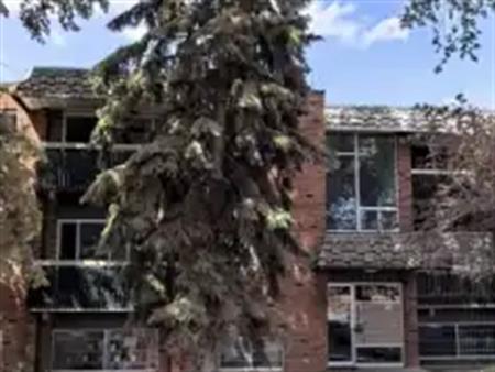 Apartment 1 bedroom  newly renovated  for rent Queen Alexandra | 10524 78 Ave NW, Edmonton