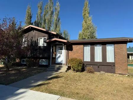 Perfect Family Home with Bonus Space in Normandeau | 100 Greig Drive, Red Deer