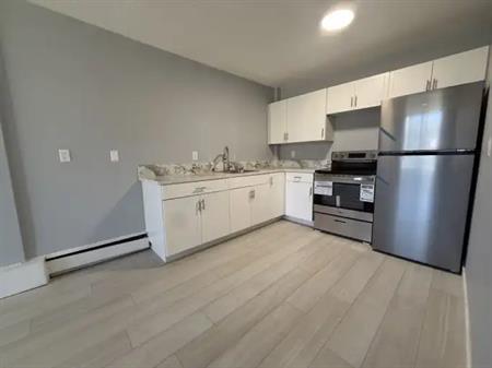 Newly Renovated 2 Bed, 2 Bath Apartment in the Heart of Bridgeland! | 625 2 Avenue Northeast, Calgary