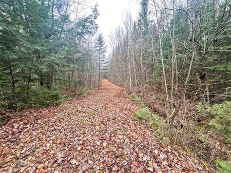 Fortierville (Centre-du-Québec): Terre à bois de 180 acres, chalet, 60 acres cultivables, ruisseau