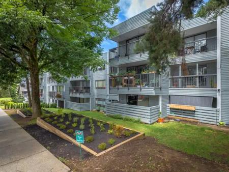 Louise Court Holdings Ltd. | 1777 Frances Street, Vancouver