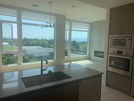 1 Bedroom Penthouse with private roof top and outdoor kitchen | 1216 Carlisle Avenue, Victoria