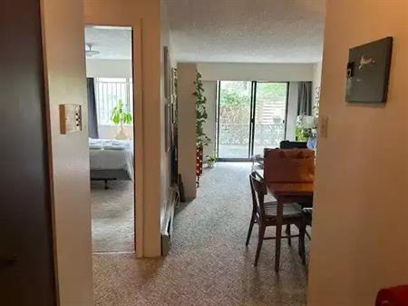 One Bedroom Apartment on Commercial Drive | 3333 Commercial Drive, Vancouver