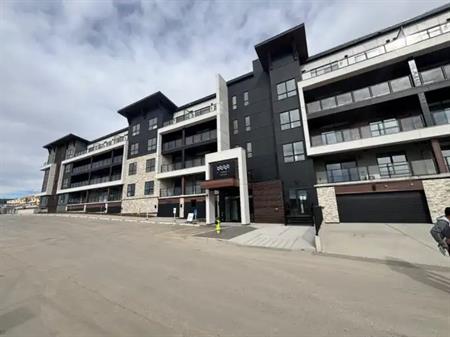 Brand New Furnished/Luxury 2 Beds/2Baths Condo in Lakeside View Mahogany | Calgary
