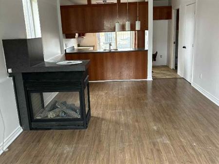 Grand 5 1/2 à louer