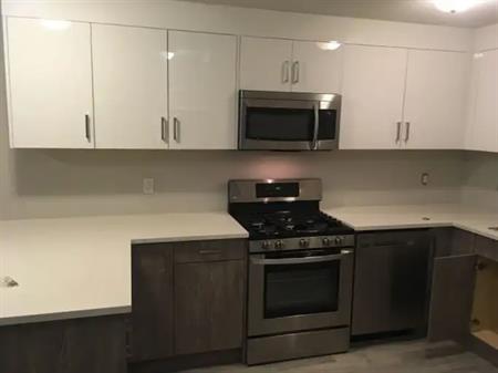 One Bedroom Basement Suite in McKenzie Towne | Calgary