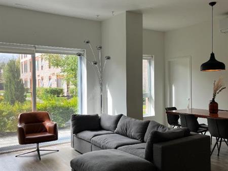 Condo 4 1/2 à louer - cession de bail 1er décembre