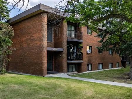 10849 117 Street - Premium 1 Bedroom -  MUST SEE! | 10849 117 Street Northwest, Edmonton