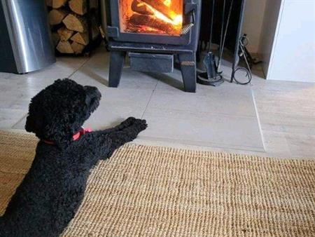 Offrez-vous Orford pour les fêtes !