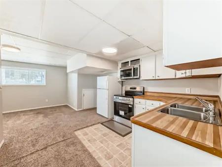 MOVE IN BONUS! Get a $200 Visa Gift Card! Modern 2 Bed + Bath Lower Suite | 7807 21A Street Southeast, Calgary