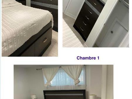Chambre à louer