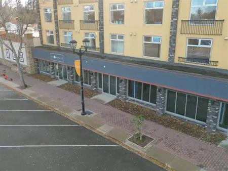 Lovely 1 Bedroom Apartment in the Heart of Red Deer! | 4707 50 Street, Red Deer