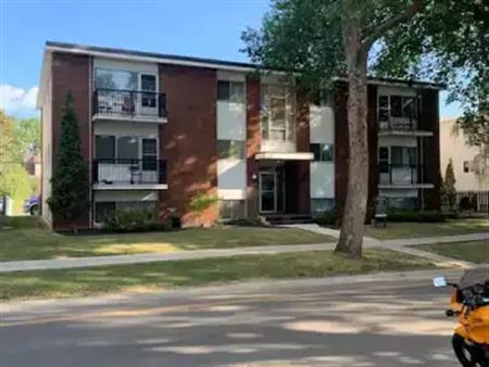 Newly Renovated Boutique Style Studio Suite | 10634 80 Avenue Northwest, Edmonton