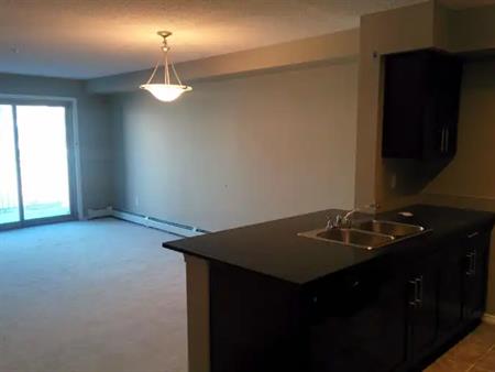 2 Bedroom & 2 Bath Apartment Condo for Rent | 222 - 270 McConachie Dr NW, Edmonton