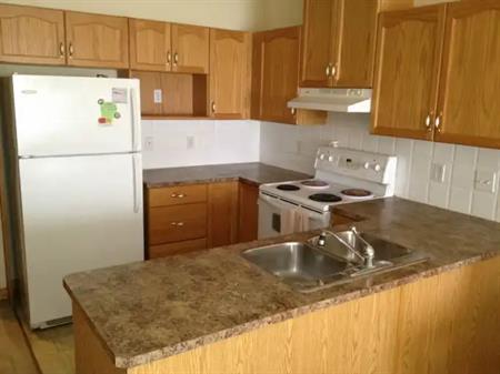 Mayland Heights Beautiful 2 bedroom condo. Great location. | 234, 1920-14th Avenue NE, Calgary