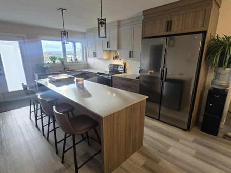 61/2 - Duplex avec sous-sol - Vue sur lac Magog