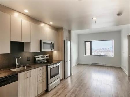 30 Saint Joseph Boulevard Est | 30 Saint-Joseph Est, Montreal