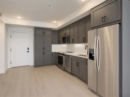 $1500/month - Modern 1 Bedroom Condo in the Heart of University District | 226 - 3932 University Avenue Northwest, Calgary