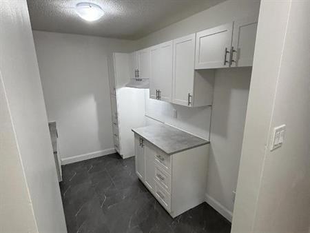 4 1/2 à louer rénové - Granby