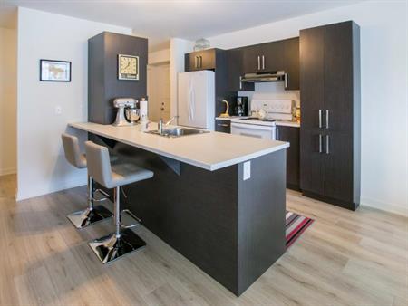 Logement 4 1/2 - Février 2026