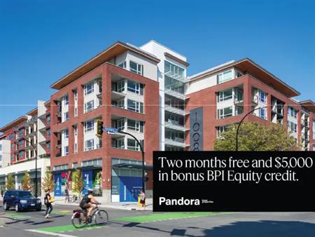 Pandora | 1008 Pandora Ave, Victoria