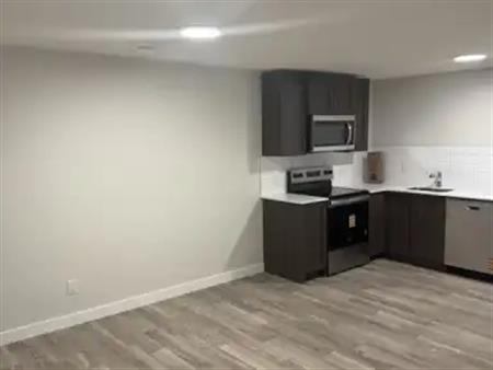 Newly built 2 bed 1 bathroom legal walkout basement | 148 Legacy Reach Close Southeast, Calgary