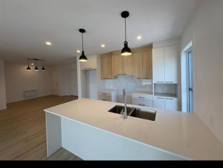 Grand 5 1/2 à louer- Saint-Dominique