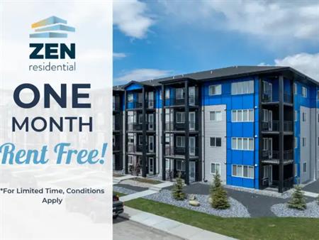 Skyview Apartments | 181 & 141 Skyview Bay NE, Calgary