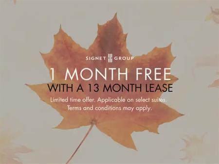 51 Woolley Street & 75-85 Elgin Street South | 51 Woolley Street, Cambridge