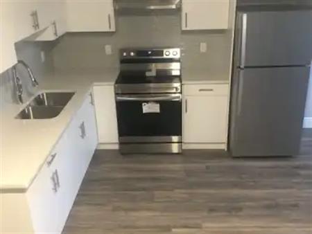 2 Bedroom 1 Bathroom Basement Suite- Westend Edmonton | Edmonton