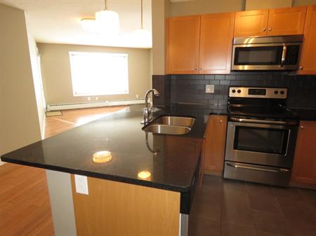 PN0770 Luxurious 2 Bedroom | 3719 Whitelaw Lane NW, Edmonton