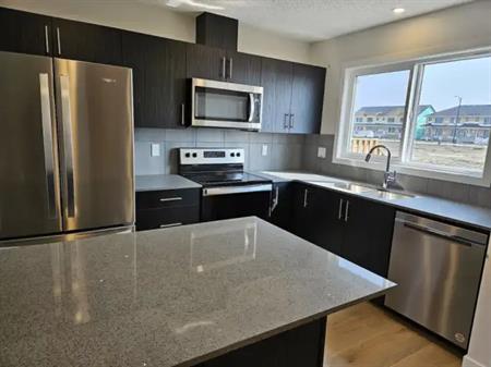 Brand New 2 Storey House in KESWICK | 6315 King Wynd Southwest, Edmonton