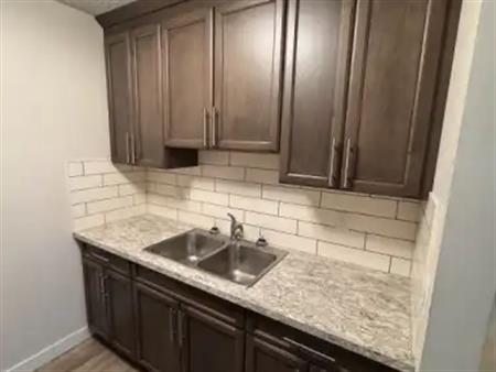 Brand New Renovated 3 bedroom unit | C - 438 12 Avenue Northeast, Calgary