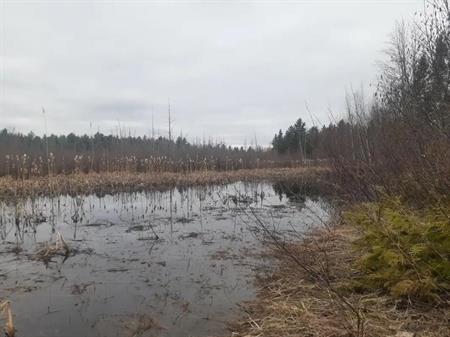 167000pi2 St-Calixte - Terrain - terre à bois pour chasse