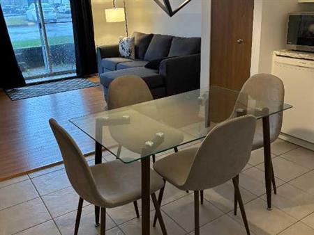 3 ½ très ensoleillé (DÉCEMBRE/Janvier)