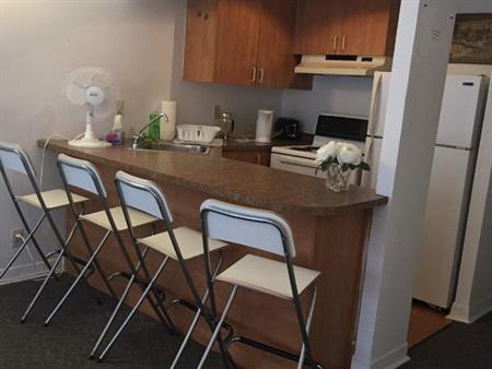 GHETTO MCGILL- 3 ½ RÉNOVÉ & MEUBLÉ – 1 CHAMBRE FERMÉE