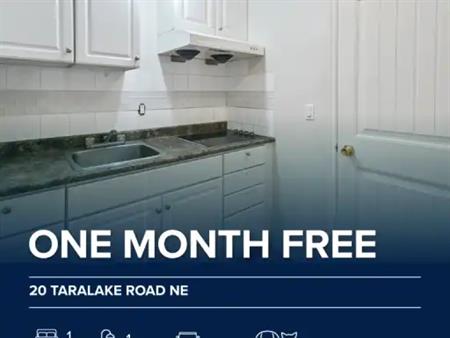 20 Taralake Road Northeast - Lower | 20 Taralake Road Northeast, Calgary