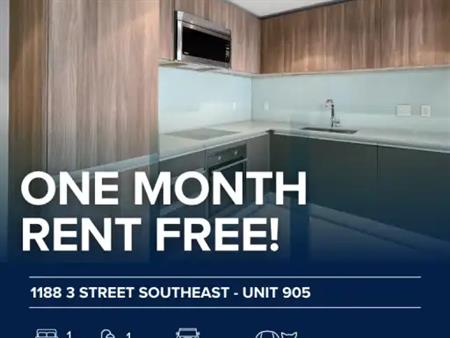 1188 3 Street Southeast - Unit 905 - Unit 905 | 1188 3 Street Southeast, Calgary