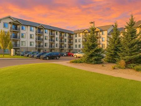 Greyson | 241 Willis Crescent, Saskatoon