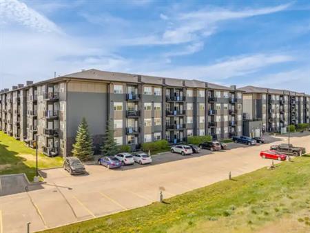 Cielo | 235 Willis Crescent, Saskatoon