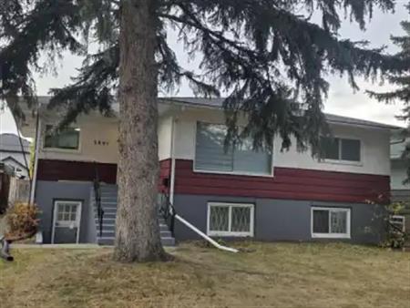Newly Renovated Inner City Basement Unit for rent | 3801 2 Street Northwest, Calgary