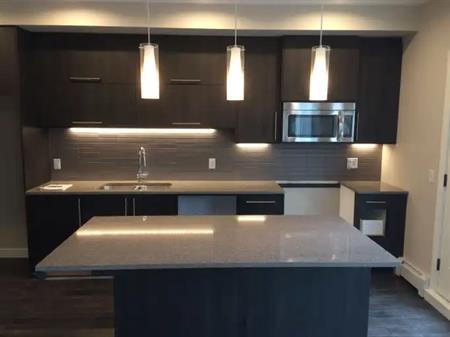 Fully Furnished 1 Bedroom with Underground Parking/Internet - $1850 | 412 - 93 34 Ave SW, Calgary