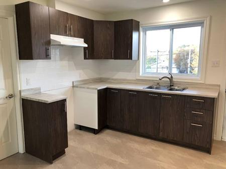 Sorel-Tracy (secteur Tracy) 4 1/2 à louer