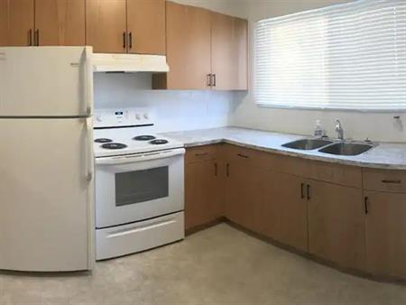 Renod Large 1200 sf 3BR/1.5BA Mn Flr-newer bathrooms/flooring/appliances-pets ok | 332 Maddock Crescent Northeast, Calgary