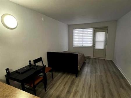 GHETTO MCGILL- STUDIO RENOVÉ & MEUBLÉ- EMPLACEMENT EXCEPTIONNEL